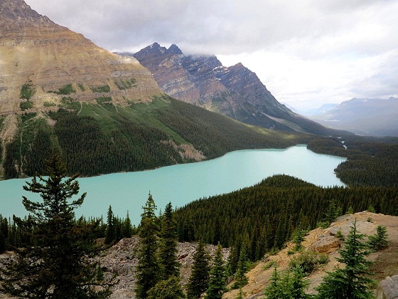 Peyto Lake