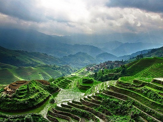 Guilin-Longji Terraced Fields
