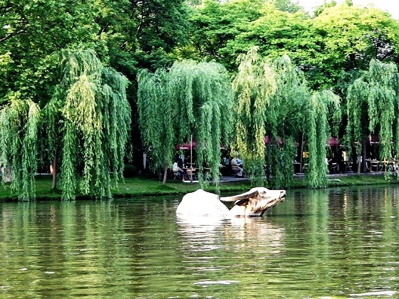 Hangzhou-Golden Water Buffalo, West lake