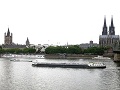 cologne
