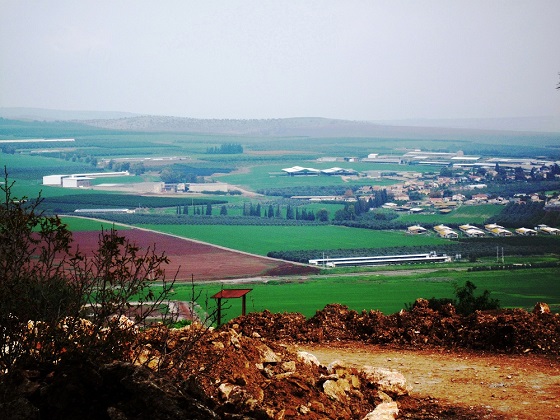 Jezreel Valley