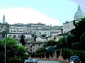 siena
