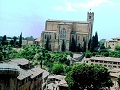 siena