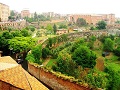 siena
