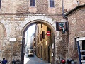 siena