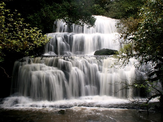 New Zealand-Purakaunui Falls