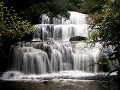 new-zealand