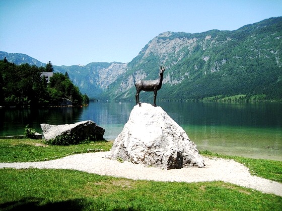 Bohini Lake