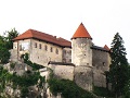 bled