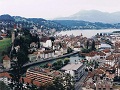 lucerne