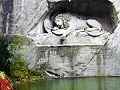 lucerne