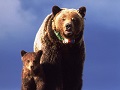 yellowstone