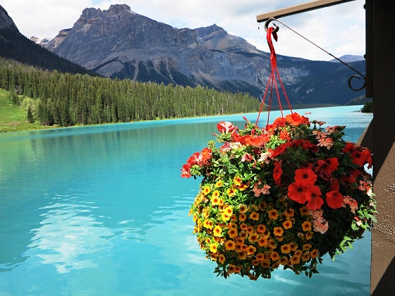 Canada-Emerald Lake-Canaian Rockies
