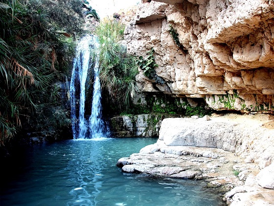 Dead Sea-Ein Gedi Waterfall