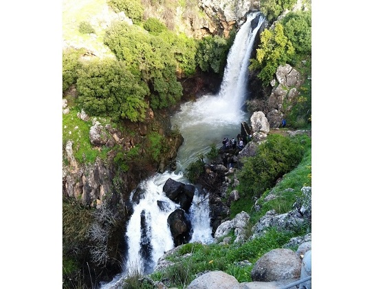 Golan Heights-Saar Waterfalls