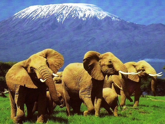 Kenya-Mount Kilimanjaro view from Amboseli National Park